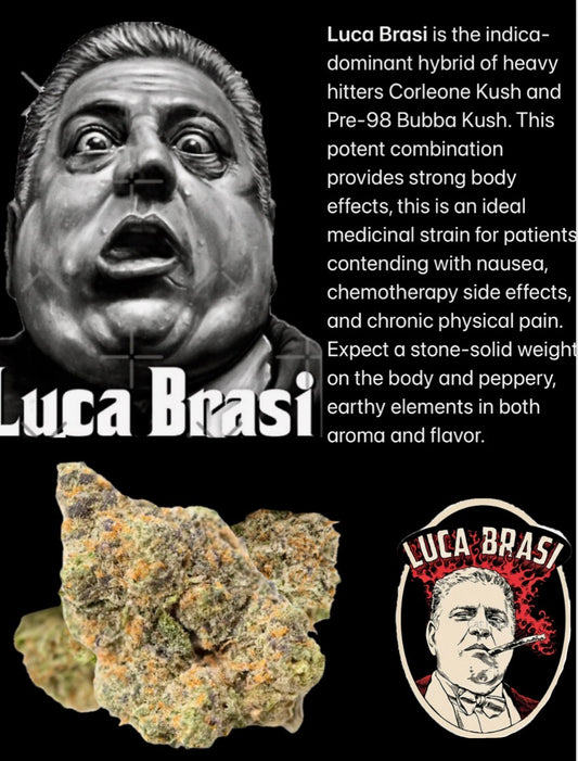LUCA BRASI
