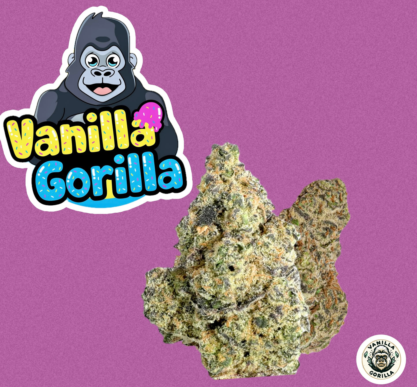 VANILLA GORILLA