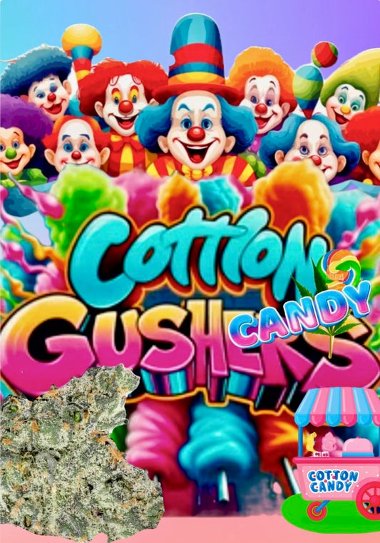 COTTON GUSHERS