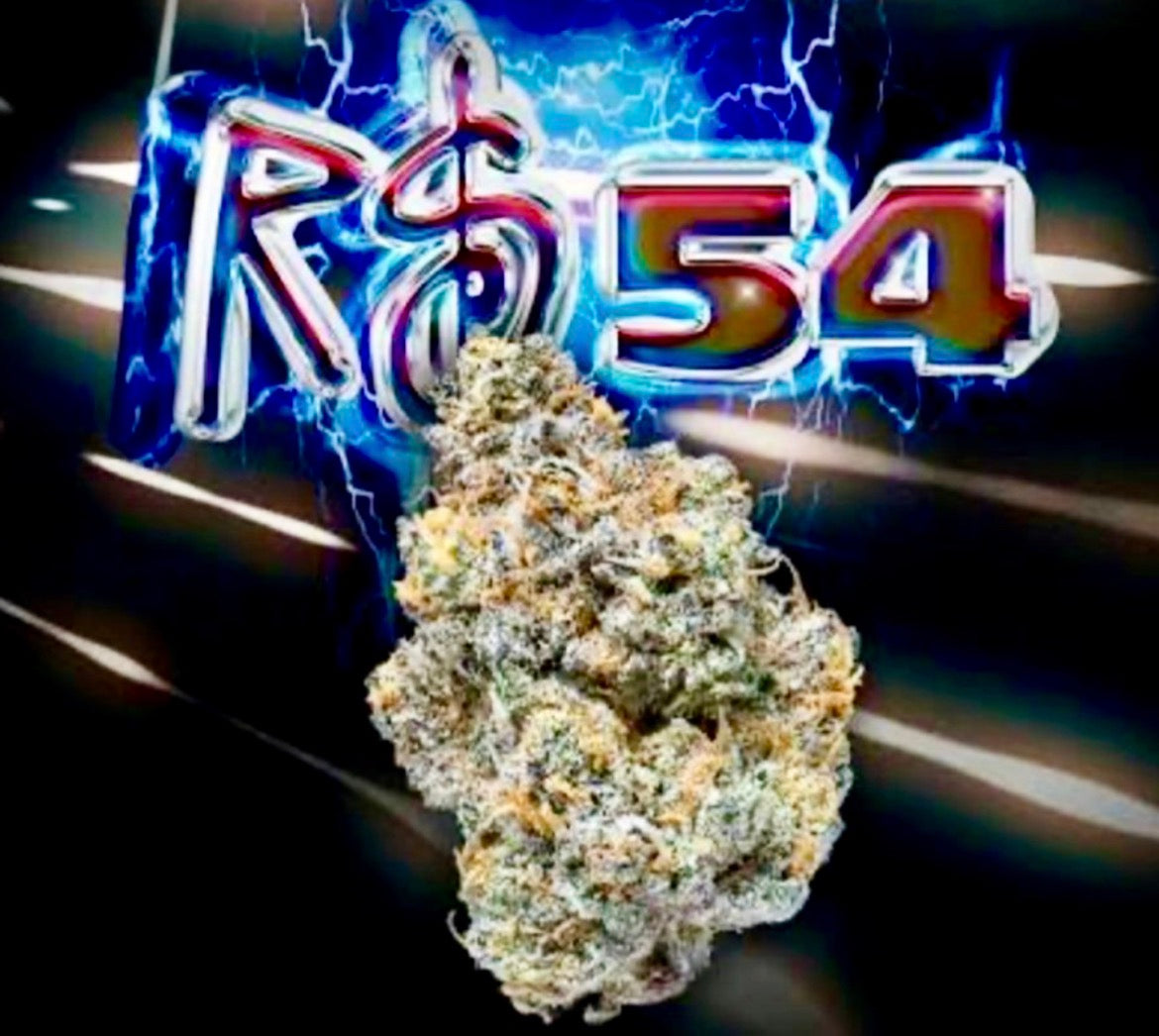 RS 54