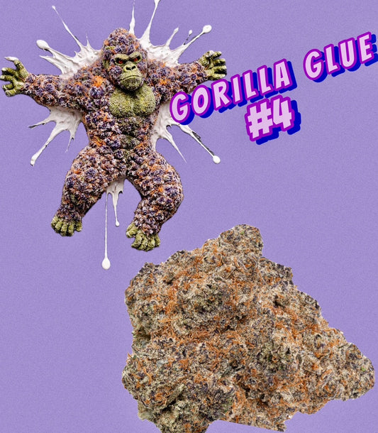 GORILLA GLUE #4