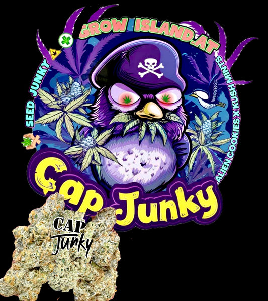 CAP JUNKY