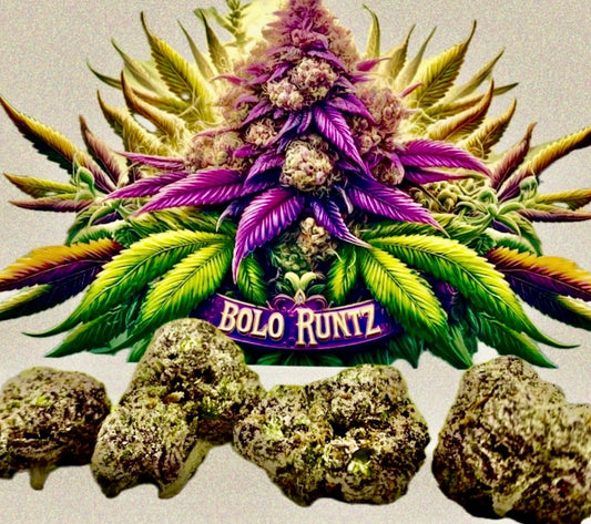 BOLO RUNTZ