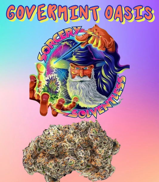 GOVERNMINT OASIS