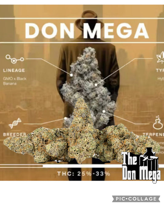 DON MEGA
